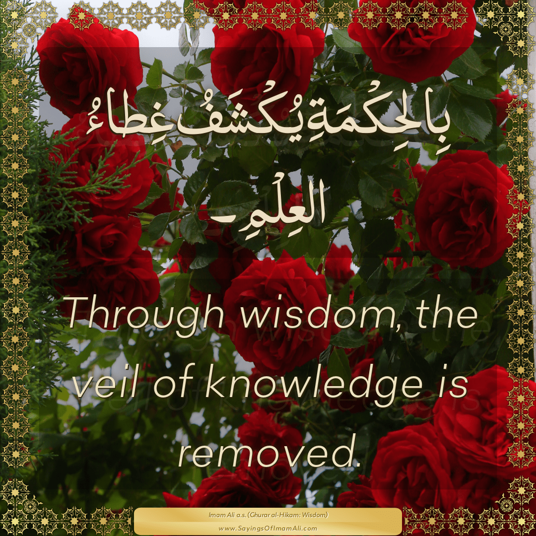 Through wisdom, the veil of knowledge is removed.